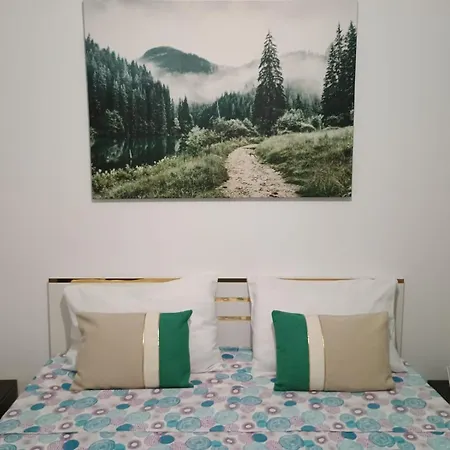 Vouchere, Factura, Petfriendly - Ap Cu 2dormitoare Fara Living アパート ブラショフ