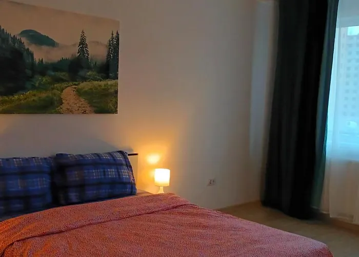 Apartment Vouchere, Factura, Petfriendly - Ap Cu 2dormitoare Fara Living *