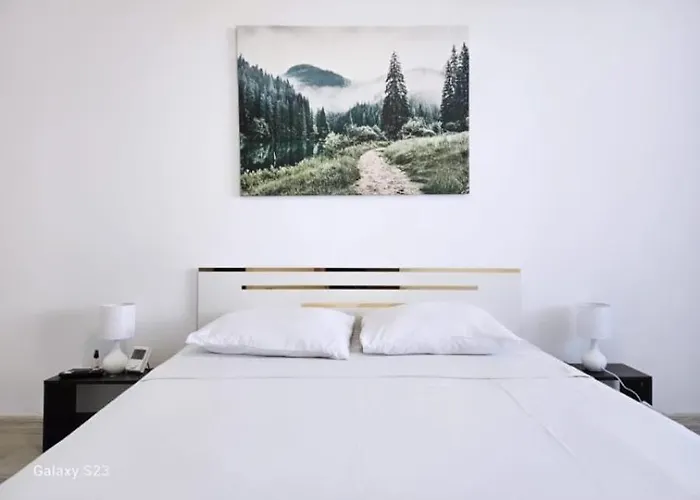 Apartment Vouchere, Factura, Petfriendly - Ap Cu 2dormitoare Fara Living *