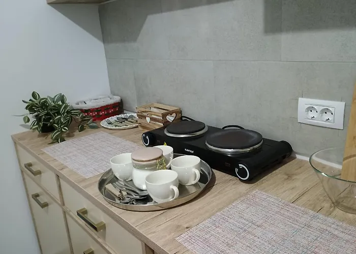 Vouchere, Factura, Petfriendly - Ap Cu 2dormitoare Fara Living Brașov